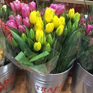 Meet your Posher, Matthew